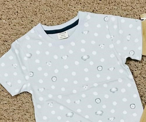 Junior Boys Half Sleeves T-Shirts