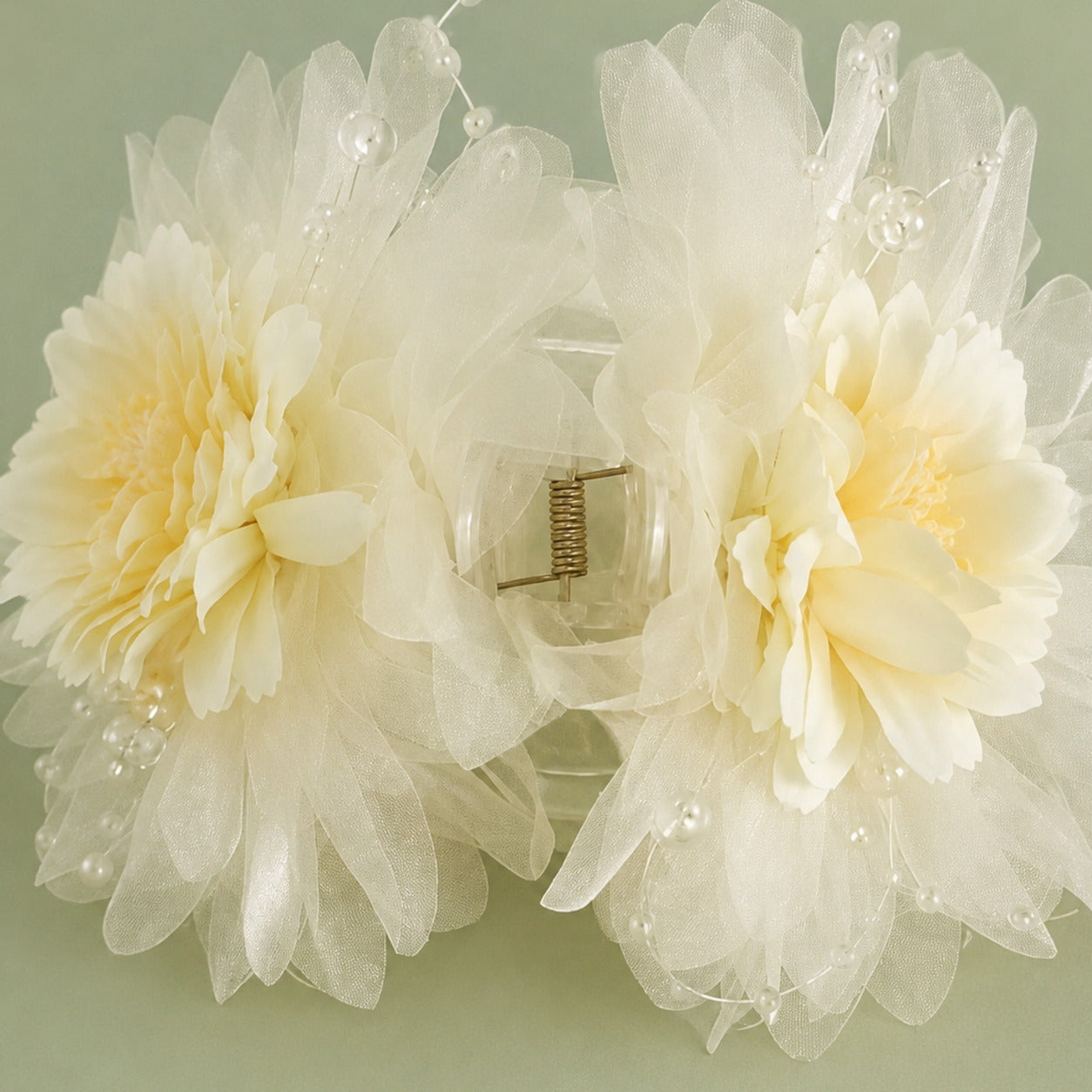 Champagne Ivory